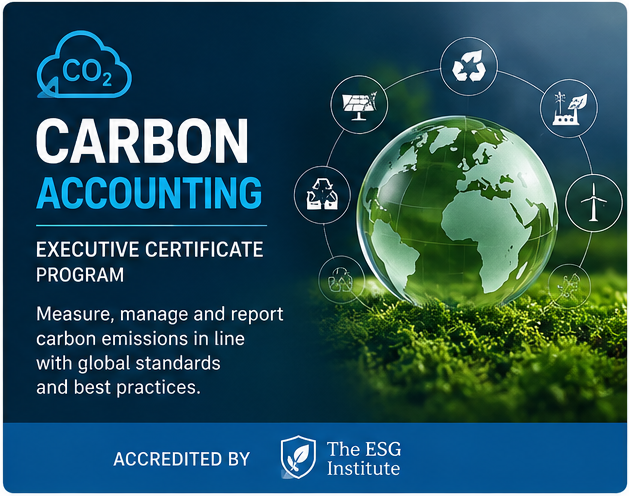 Carbon Accounting